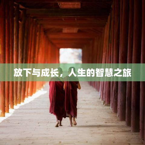 放下与成长，人生的智慧之旅