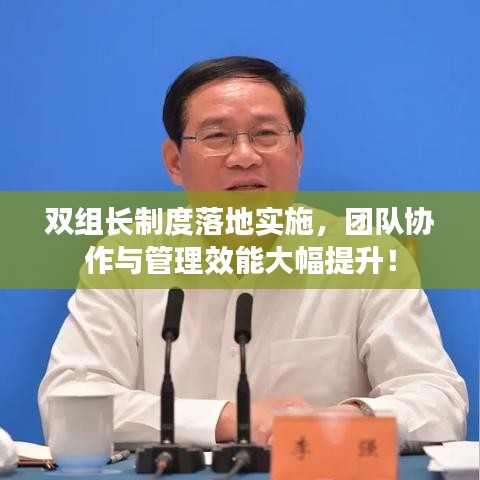 双组长制度落地实施，团队协作与管理效能大幅提升！