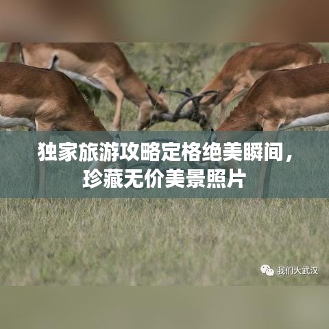 独家旅游攻略定格绝美瞬间，珍藏无价美景照片