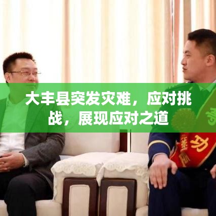 大丰县突发灾难，应对挑战，展现应对之道