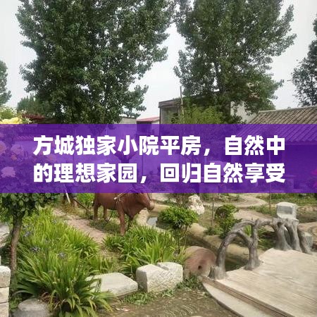 方城独家小院平房，自然中的理想家园，回归自然享受宁静生活