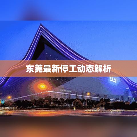 东莞最新停工动态解析