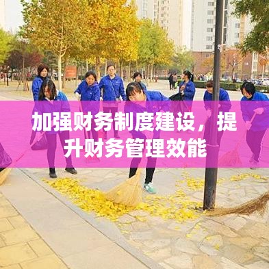 加强财务制度建设，提升财务管理效能