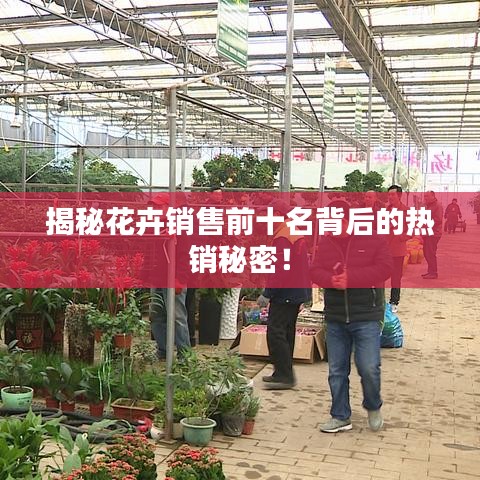 揭秘花卉销售前十名背后的热销秘密！