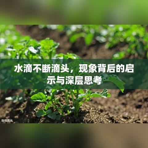 水滴不断滴头，现象背后的启示与深层思考