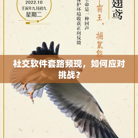社交软件套路频现，如何应对挑战？