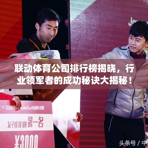 联动体育公司排行榜揭晓，行业领军者的成功秘诀大揭秘！