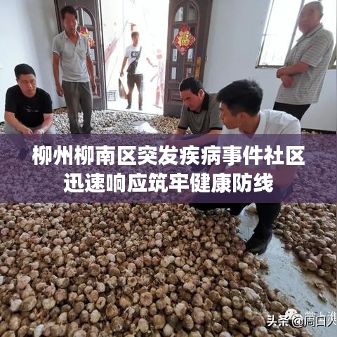柳州柳南区突发疾病事件社区迅速响应筑牢健康防线