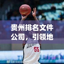 贵州排名文件公司，引领地方企业发展的领航者