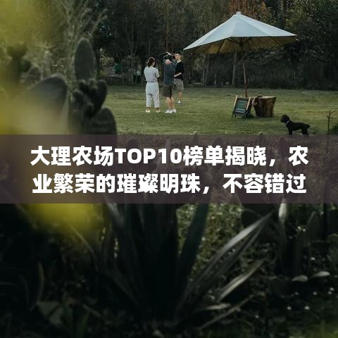 大理农场TOP10榜单揭晓，农业繁荣的璀璨明珠，不容错过！