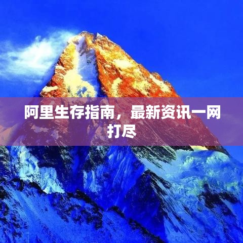阿里生存指南，最新资讯一网打尽
