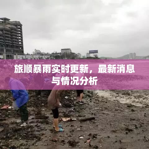 旅顺暴雨实时更新，最新消息与情况分析