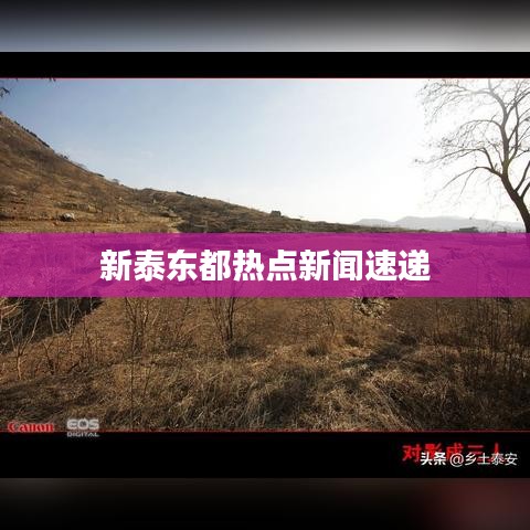 新泰东都热点新闻速递