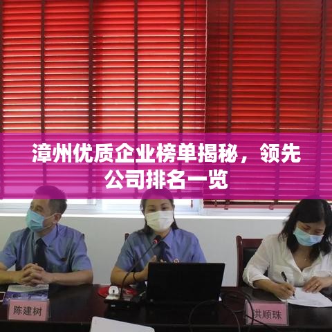 漳州优质企业榜单揭秘，领先公司排名一览