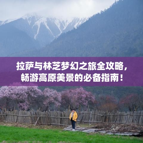 拉萨与林芝梦幻之旅全攻略，畅游高原美景的必备指南！