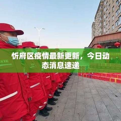 忻府区疫情最新更新，今日动态消息速递