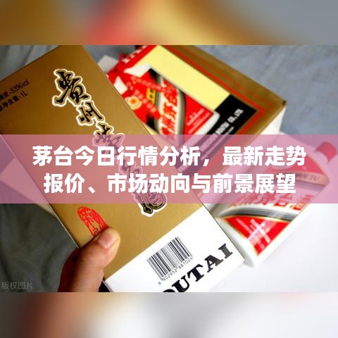 茅台今日行情分析，最新走势报价、市场动向与前景展望