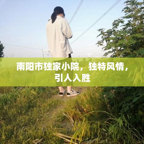 南阳市独家小院，独特风情，引人入胜