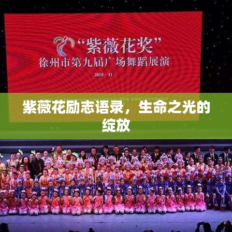 紫薇花励志语录，生命之光的绽放