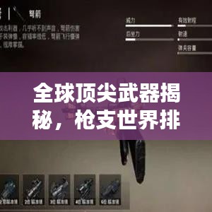 全球顶尖武器揭秘，枪支世界排名一览