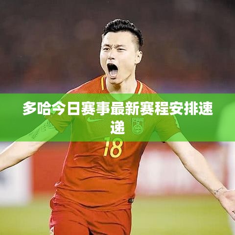 多哈今日赛事最新赛程安排速递