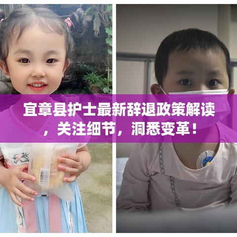 宜章县护士最新辞退政策解读，关注细节，洞悉变革！