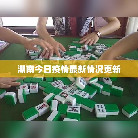 在线留言 第19页