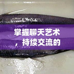 掌握聊天艺术，持续交流的关键与话题不断延续的秘诀