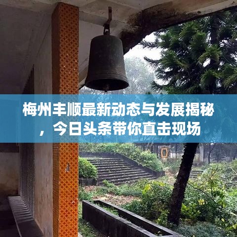 梅州丰顺最新动态与发展揭秘，今日头条带你直击现场