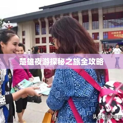 楚雄夜游探秘之旅全攻略