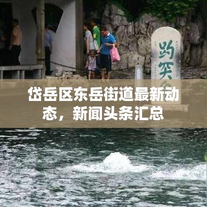 岱岳区东岳街道最新动态，新闻头条汇总