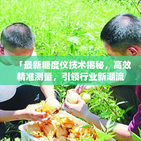 「最新糖度仪技术揭秘，高效精准测量，引领行业新潮流」
