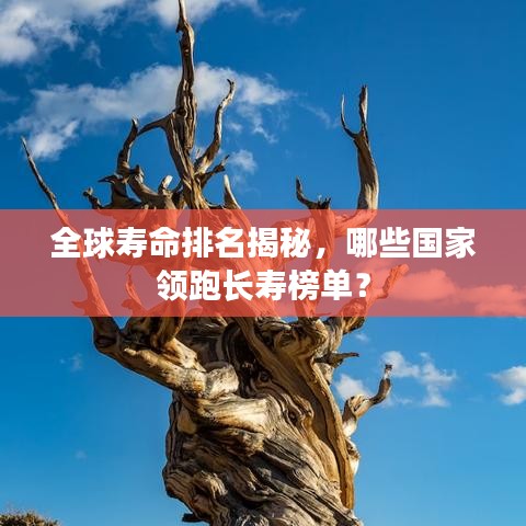 全球寿命排名揭秘，哪些国家领跑长寿榜单？