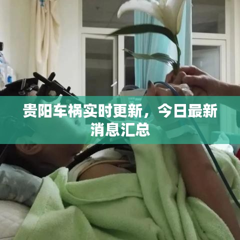 铁石心肠