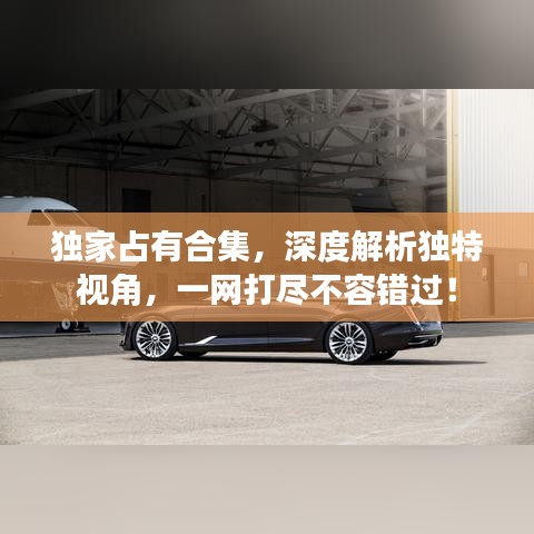 独家占有合集，深度解析独特视角，一网打尽不容错过！