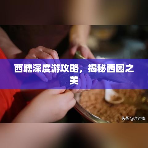 张弛不定