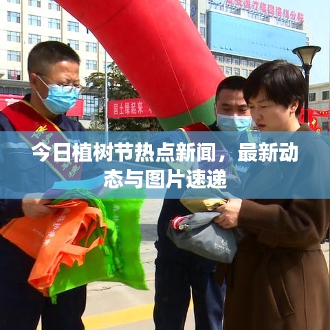 今日植树节热点新闻，最新动态与图片速递