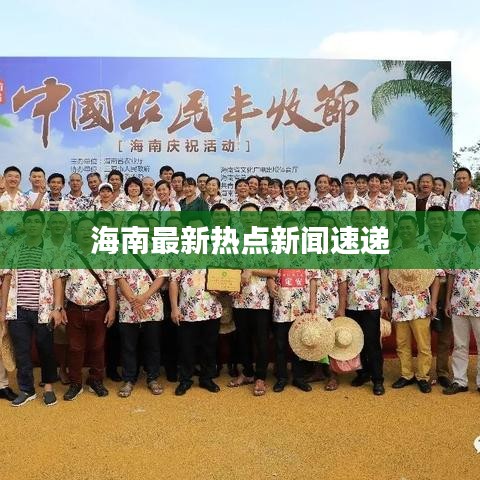 海南最新热点新闻速递