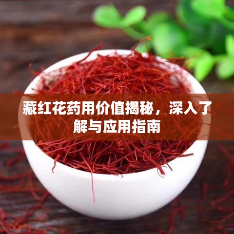 藏红花药用价值揭秘，深入了解与应用指南