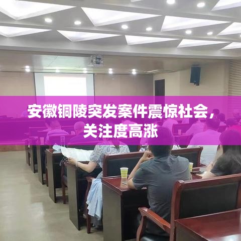 安徽铜陵突发案件震惊社会，关注度高涨