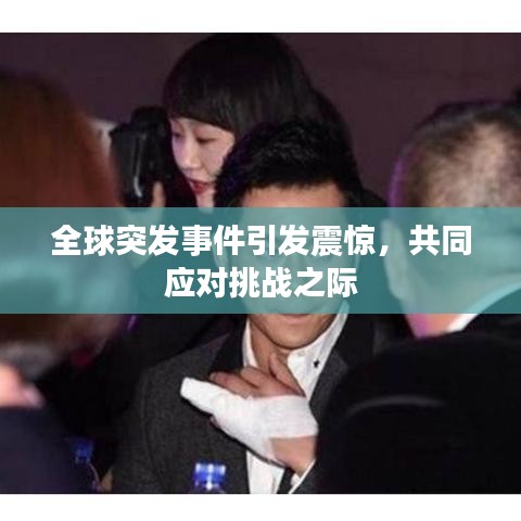 物稀为贵