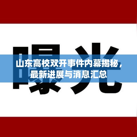 山东高校双开事件内幕揭秘，最新进展与消息汇总