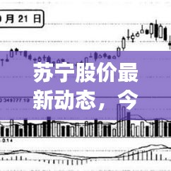 苏宁股价最新动态，今日走势揭秘！