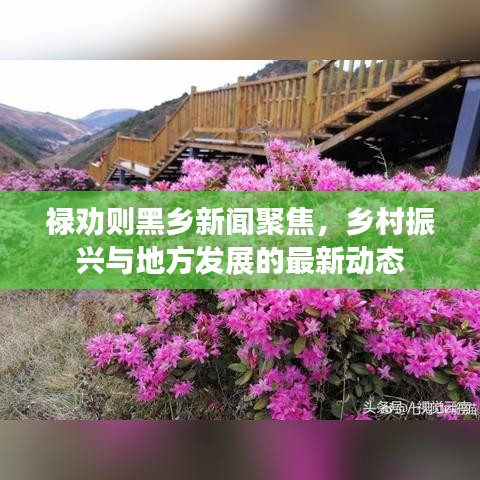 禄劝则黑乡新闻聚焦，乡村振兴与地方发展的最新动态