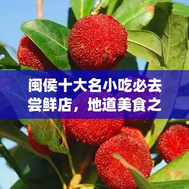 闽侯十大名小吃必去尝鲜店，地道美食之旅