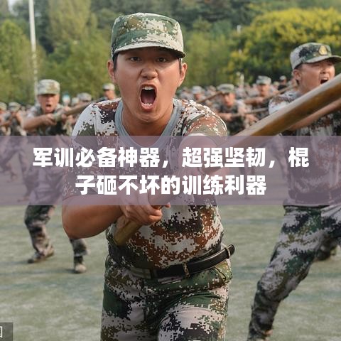 军训必备神器，超强坚韧，棍子砸不坏的训练利器