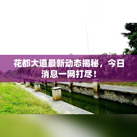 花都大道最新动态揭秘，今日消息一网打尽！