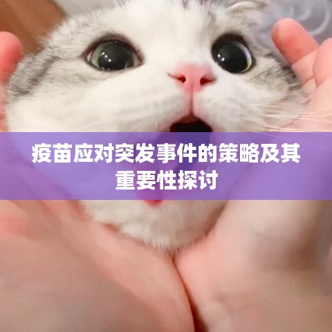 疫苗应对突发事件的策略及其重要性探讨