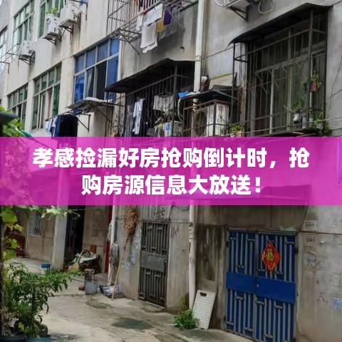 孝感捡漏好房抢购倒计时，抢购房源信息大放送！