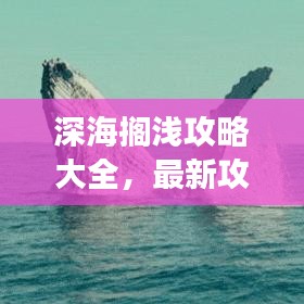 深海搁浅攻略大全，最新攻略助你畅游深海！